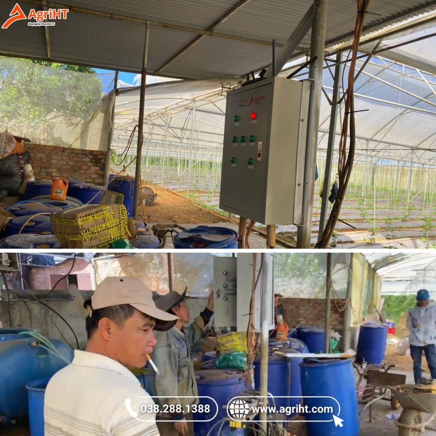Hệ tưới tự động HT 01 tại Lâm Đồng