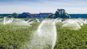 hệ thống tưới