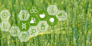 hiện đại hóa nông nghiệp