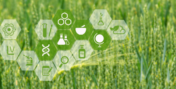 hiện đại hóa nông nghiệp