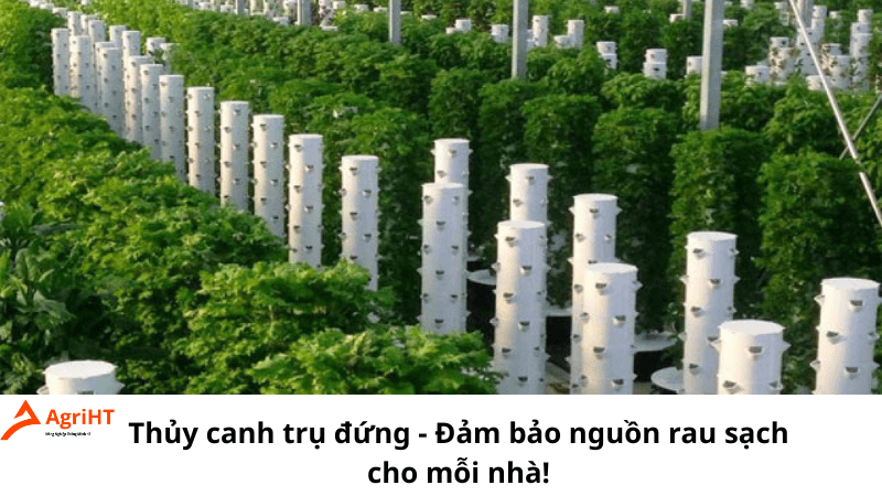 Thủy canh trụ đứng - Đảm bảo nguồn rau sạch cho mỗi nhà!