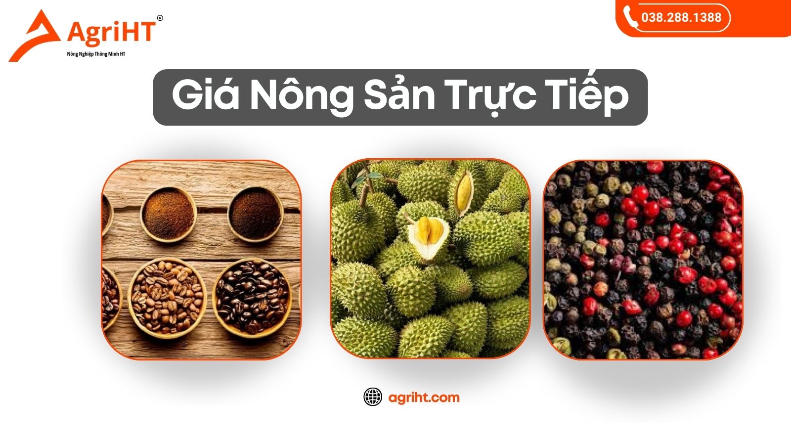 Gia ca phe gia tieu