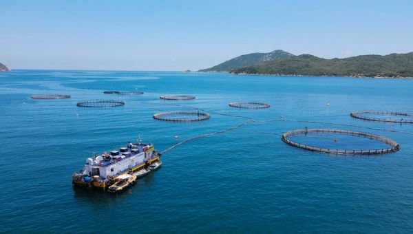 Nuôi biển công nghệ cao tại Khánh Hòa