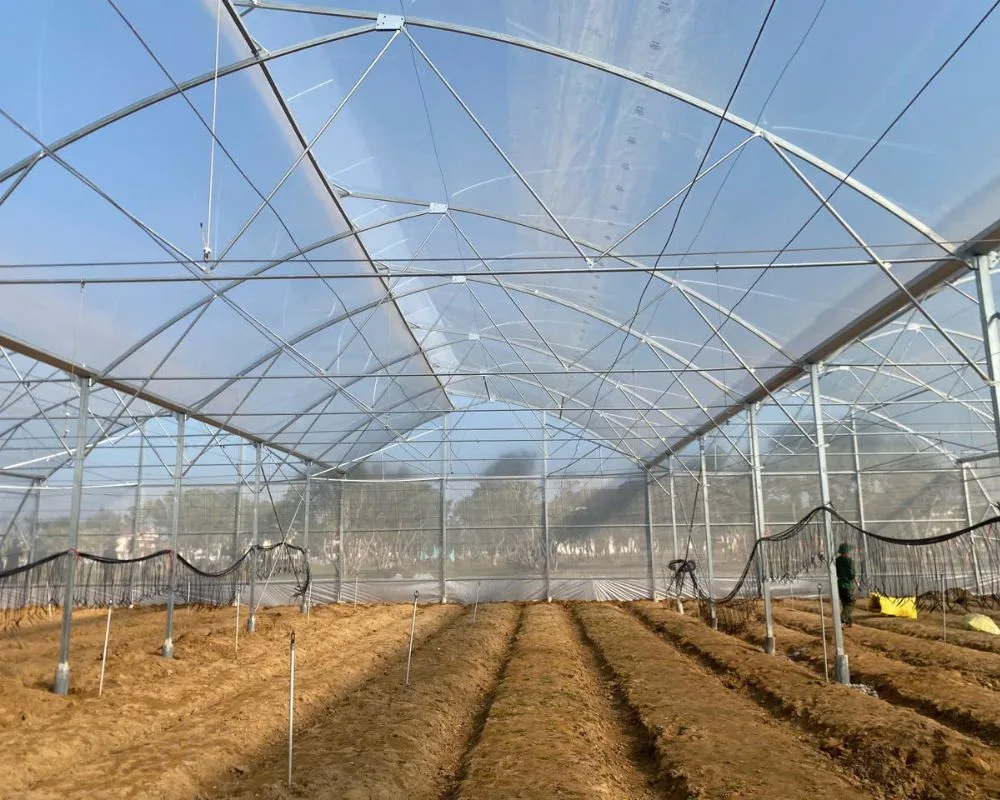 Tưới tự động trong nhà kính thông minh