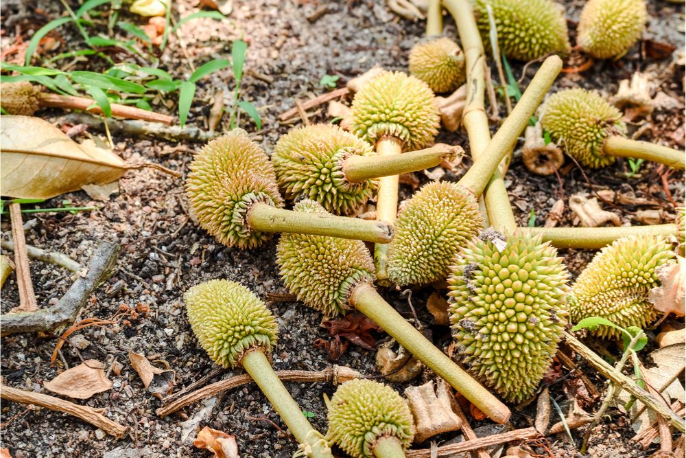độ ẩm không khí thấp