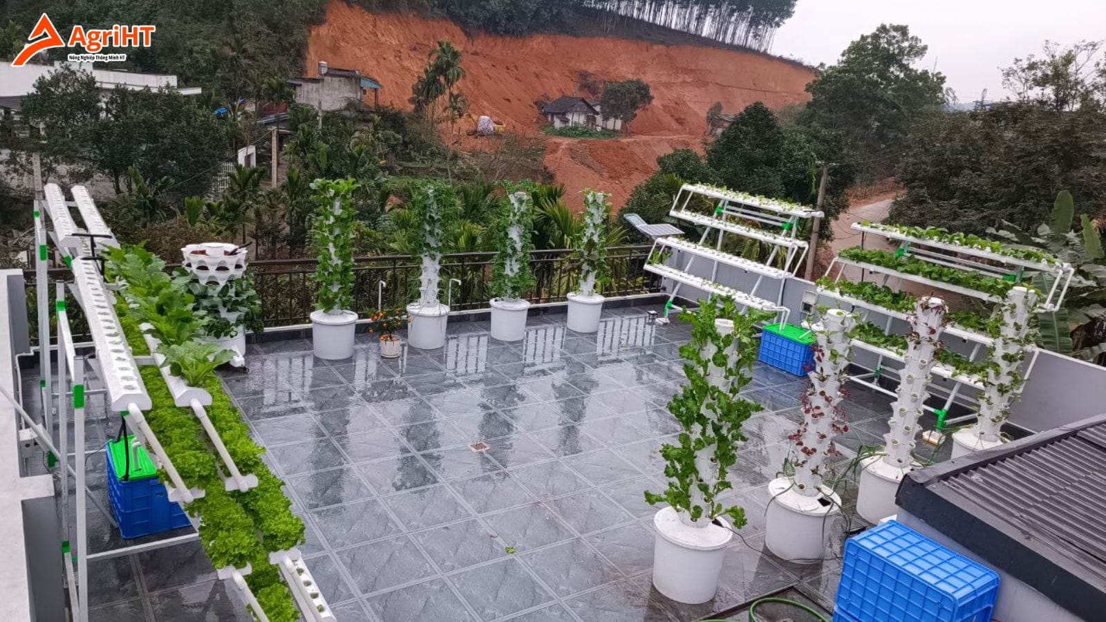 Trồng rau thủy canh