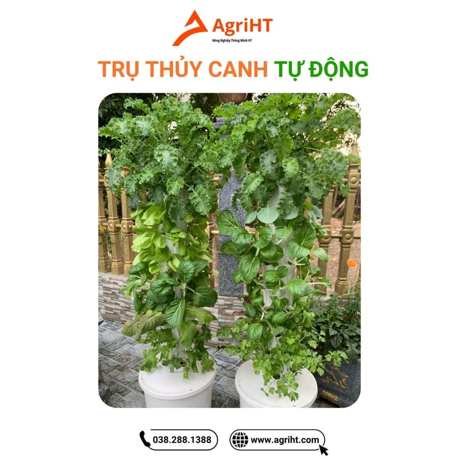 Trụ thủy canh AgriHT