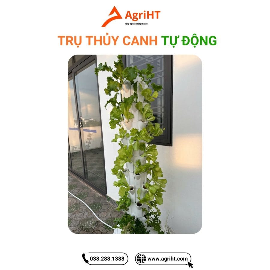 Hệ Thống Trụ Thủy Canh Tuần Hoàn Tự Động