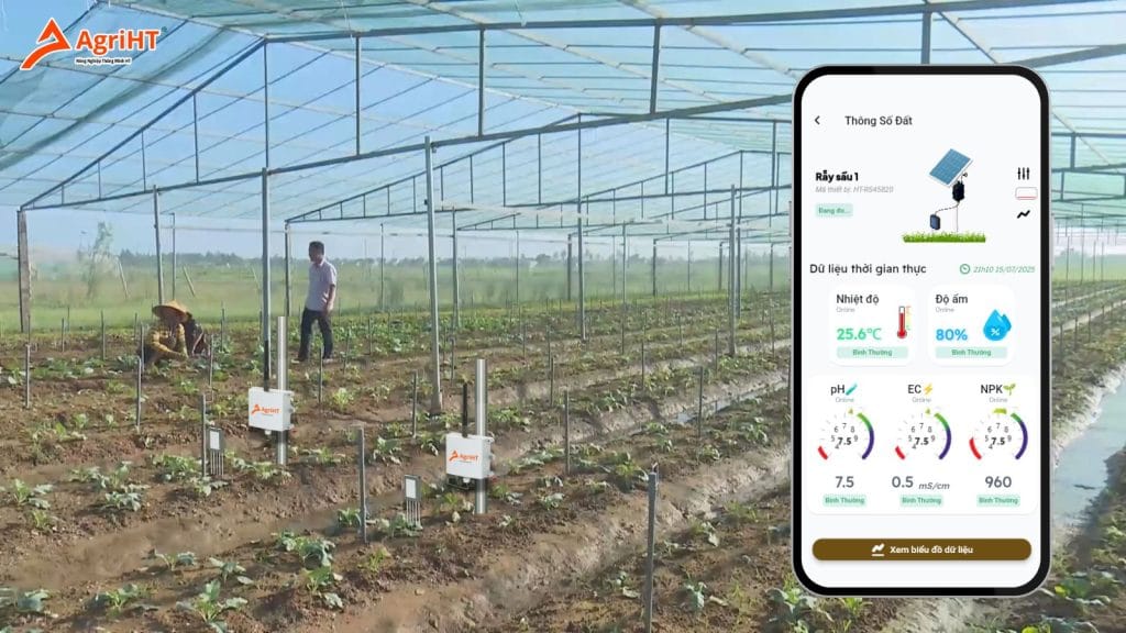 Đo chỉ số đất trồng trong nhà màng bằng hệ thống quan trắc thông minh
