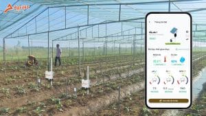 Đo chỉ số đất trồng trong nhà màng bằng hệ thống quan trắc thông minh