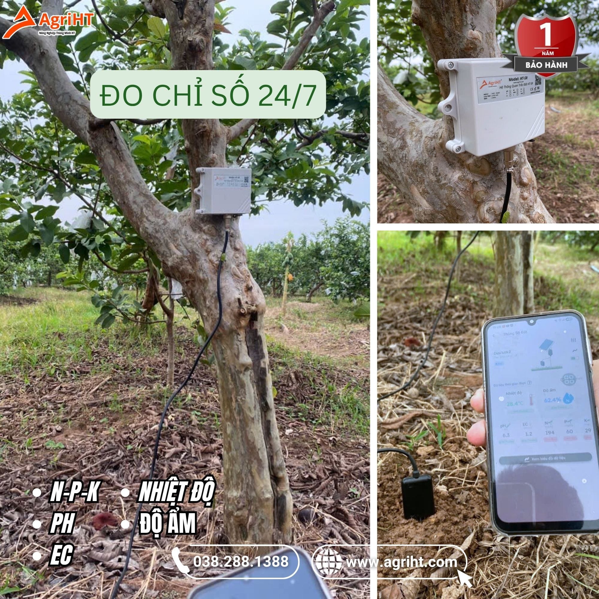 Lắp đặt tại vườn ổi VietGAP