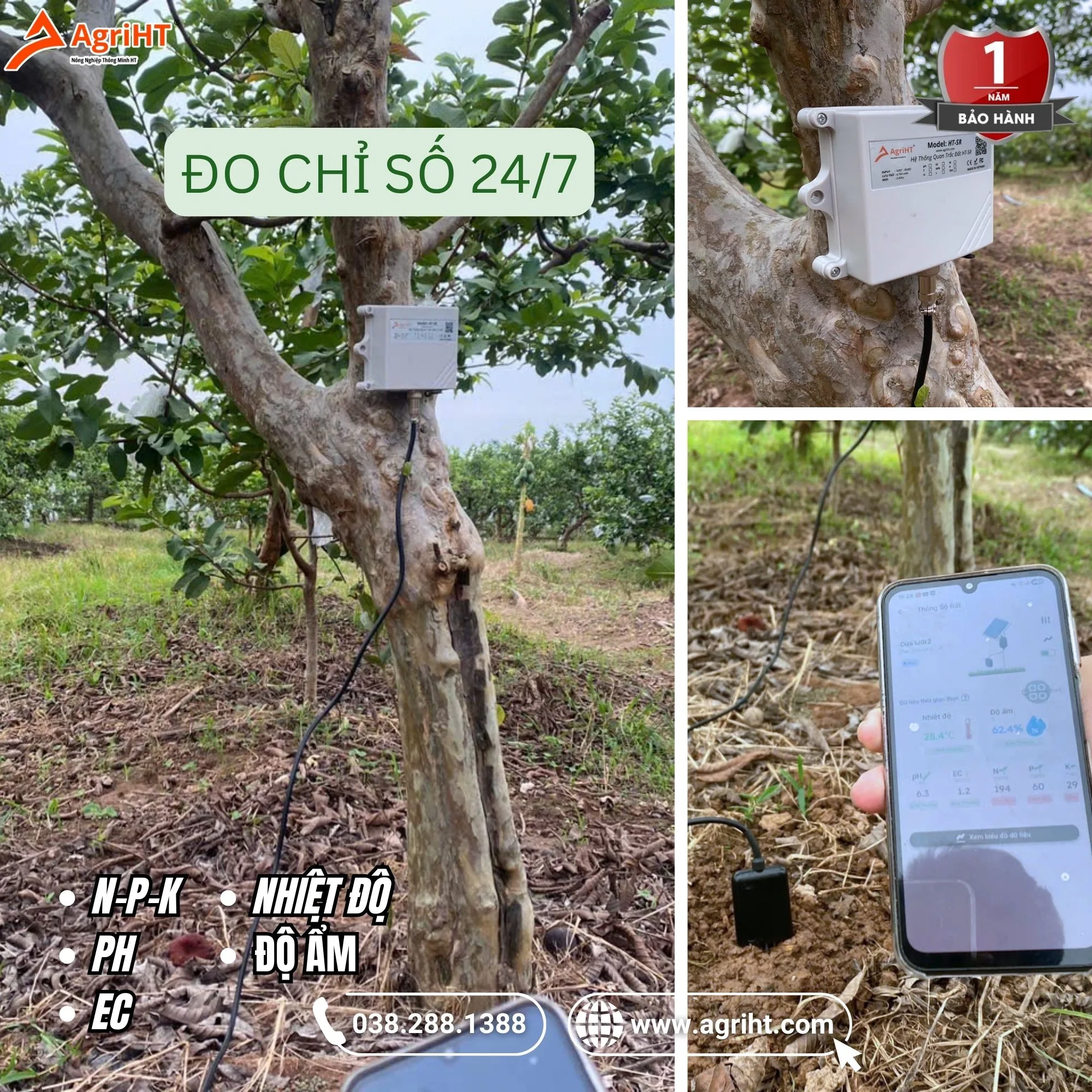 Lắp đặt tại vườn ổi VietGAP