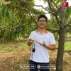 Đo dĩnh dưỡng đất trồng cây sầu riêng