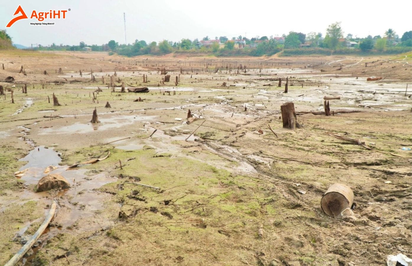 Mùa khô ở Tây Nguyên