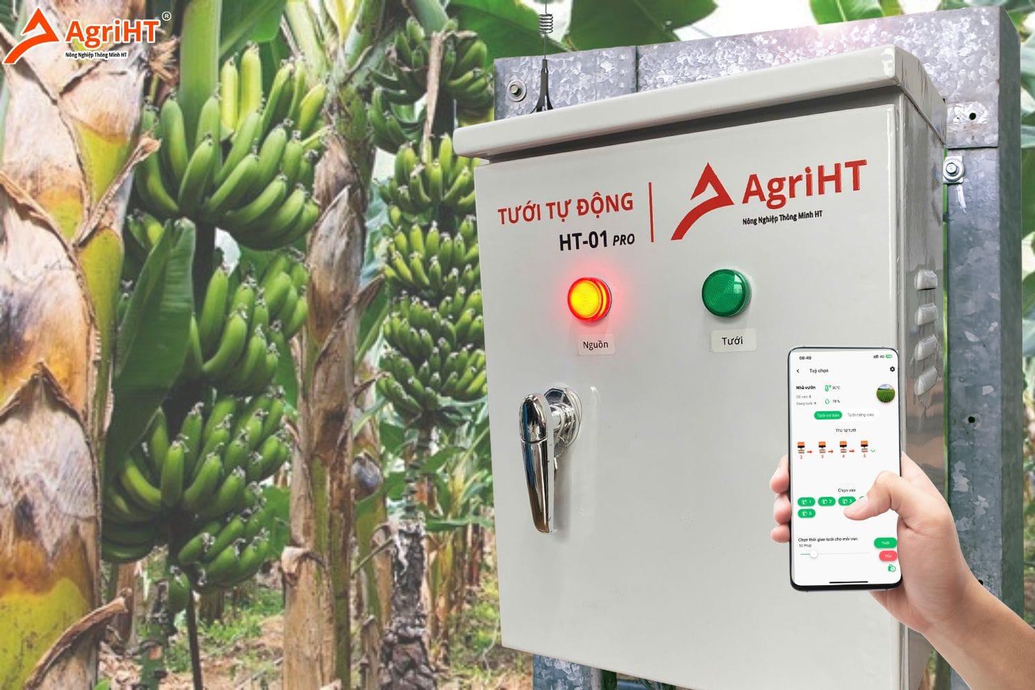 Lắp đặt tưới tự động cho vườn chuối