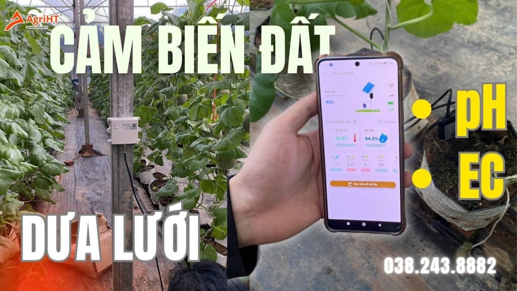 Cảm biến nhà màng