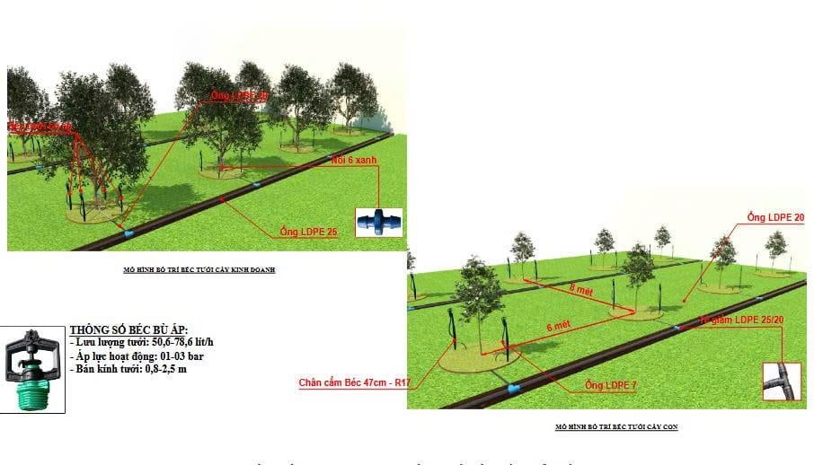 Hình ảnh trực quan - Khahcs hàng có cái nhìn thực tế