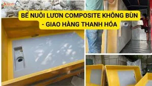 Bể nuôi lươn không bùn tại thanh hóa