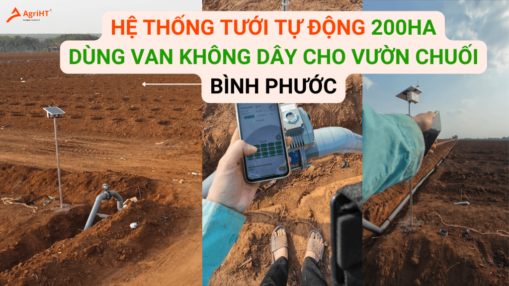 Hệ thống tưới tự động không dây cho vườn chuối tại Bình Phước